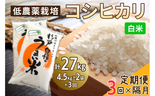 新米 [定期便／隔月3ヶ月] 低農薬栽培のコシヒカリ《白米》計27kg (4.5kg×2袋×3ヶ月)｜おいしい お米 コメ こめ ご飯 ごはん 白米 玄米 お取り寄せ 直送 贈り物 贈答品 ふるさと納税 埼玉 杉戸 [0547]