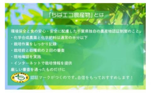 【ちばエコ農産物認証茶葉100%】千葉のおいしいお茶房総みどりペットボトル500ml×24本 H004