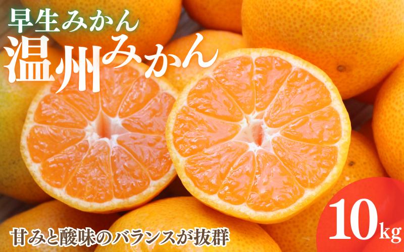 
                  【2026年分先行予約】早生みかん 温州みかん　10kg【11月中旬以降発送予定】 / 和歌山県 田辺市 みかん 早生みかん うんしゅうみかん 柑橘【mrn009-3】
                