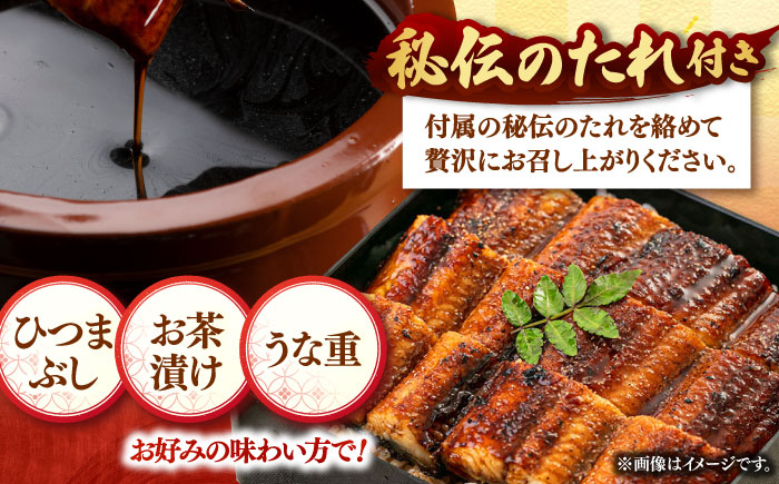 全12回定期便 特大！ 鹿児島産 うなぎ 蒲焼2尾セット