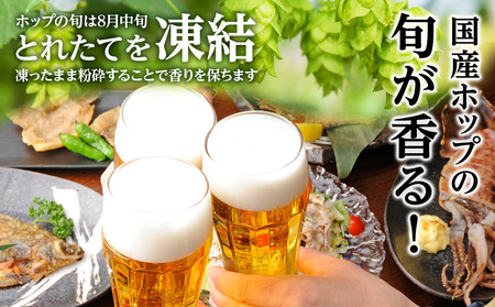 【11月5日発送開始！！】一番搾り とれたてホップ生ビール＜北海道千歳工場産＞350ml（24本）