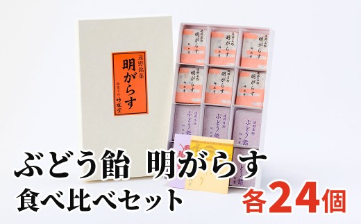 明がらす ぶどう飴 各24個 詰め合わせ セット 竹林堂 岩手県 遠野市