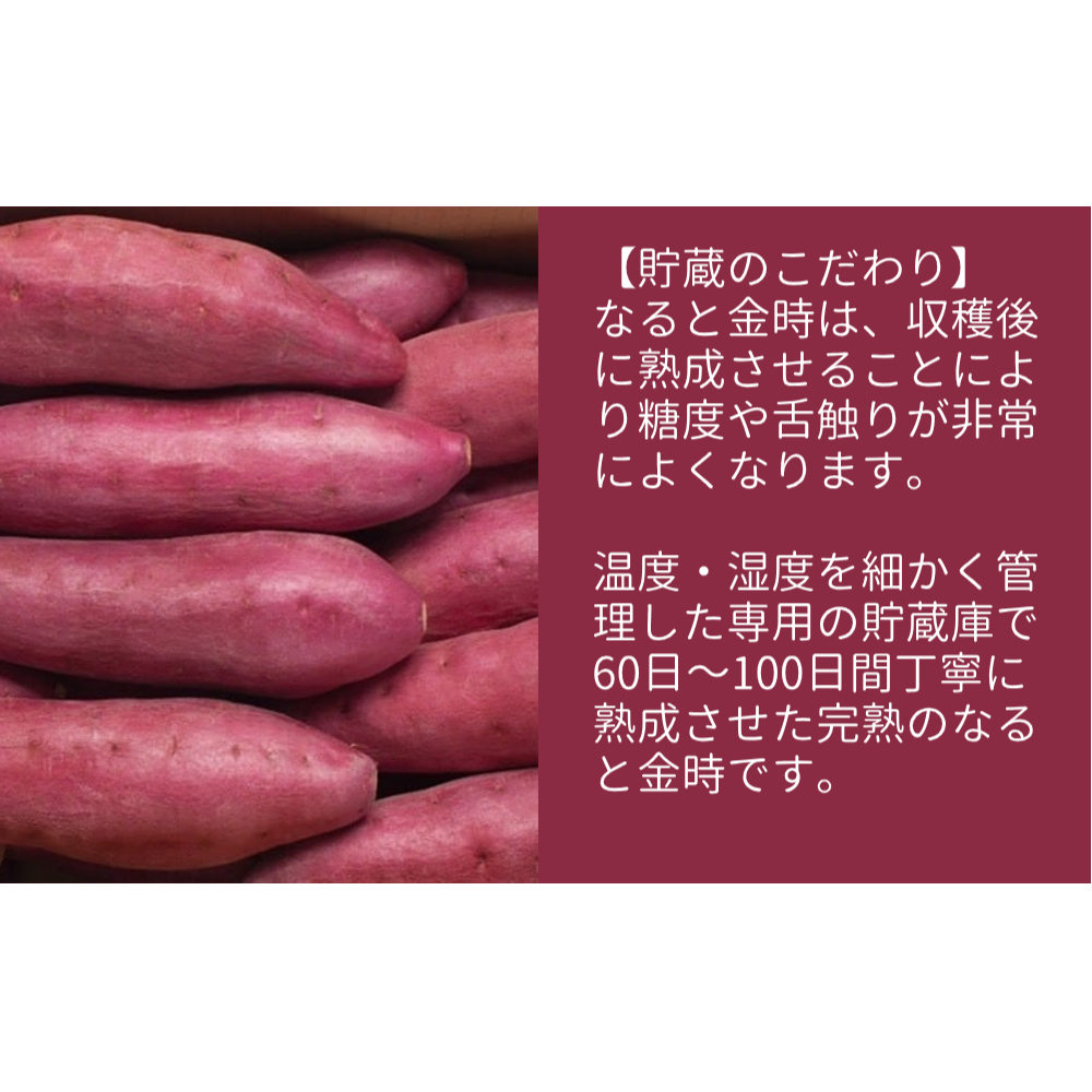 【木元農園】八代目の なると金時 約3kg 【 予約受付中・2024年11月頃より順次発送 】 | 鳴門金時 甘い ホクホク 熟成 産地直送 スイーツ おやつ 焼きいも 天ぷら 干し芋 スイートポテト