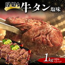 【ふるさと納税】 厚切り牛タン塩味 1.0kg 焼肉 キャンプ アウトドア BBQ 塩牛タン 味付け肉 F20C-680