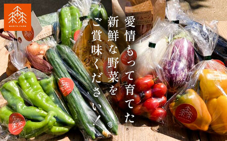 【3か月定期便】新鮮 野菜セット ミディアムサイズ 8～10品 | 野菜セット