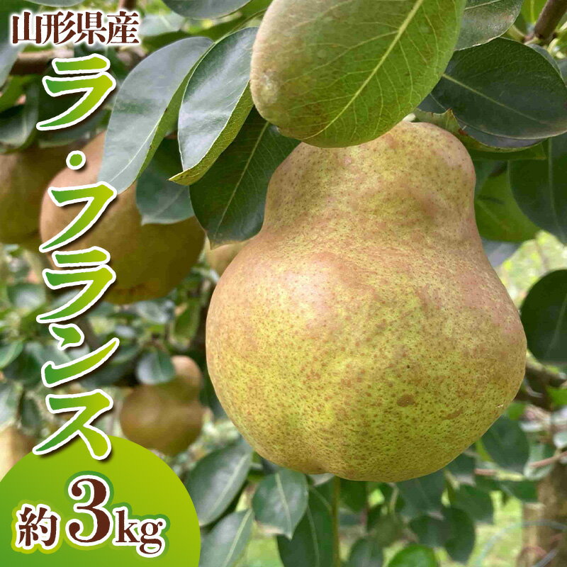 【ふるさと納税】山形県産 ラ・フランス 秀品 約3kg(6〜12玉)【令和8年産先行予約】FS25-764
