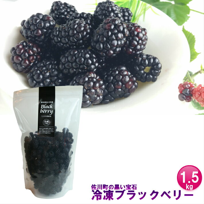 【ふるさと納税】＜冷凍ブラックベリー1.5kg＞ 高知県 佐川町 ヒロの果樹園【冷凍】冷凍フルーツ　フローズン　秀品