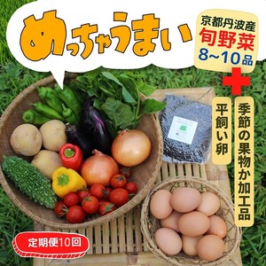 【10回定期便】丹波産野菜セットDX 野菜