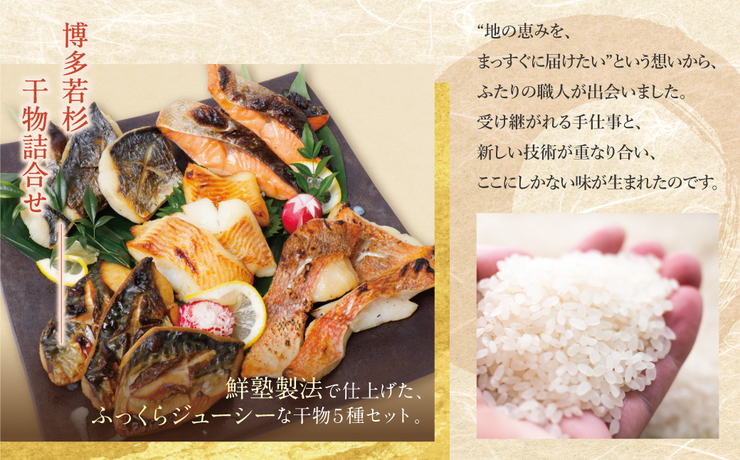 博多バラエティ― 干物詰合せ(5切)＆クラフトサケ「緒奏」（180ml）セット