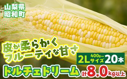 【2025年発送先行予約】山梨県産ドルチェドリーム2Lサイズ×20本セット SWBS006
