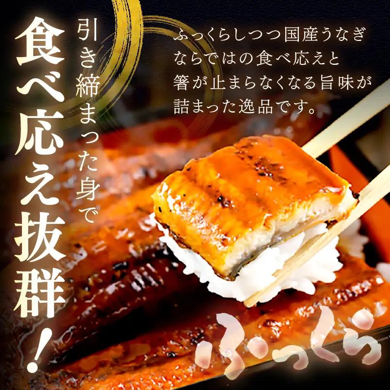 【国産鰻】うなぎ蒲焼き 1尾 250g前後 | うなぎ