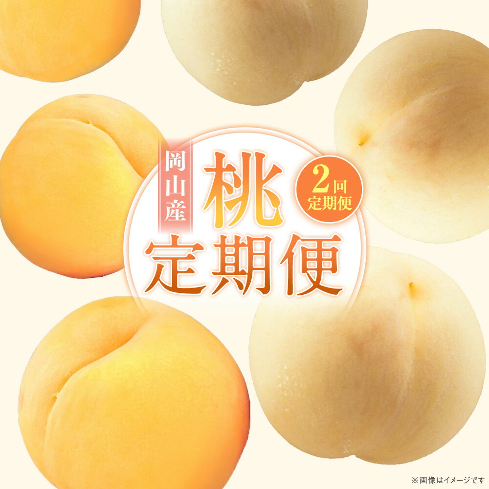 【ふるさと納税】【2回定期便】桃 白桃 黄金桃 各回6玉（1.6kg以上） 化粧箱入り 定期便 果物 くだもの フルーツ 冷蔵 国産 岡山県 奈義町 送料無料 【2025年7月上旬より順次発送開始】