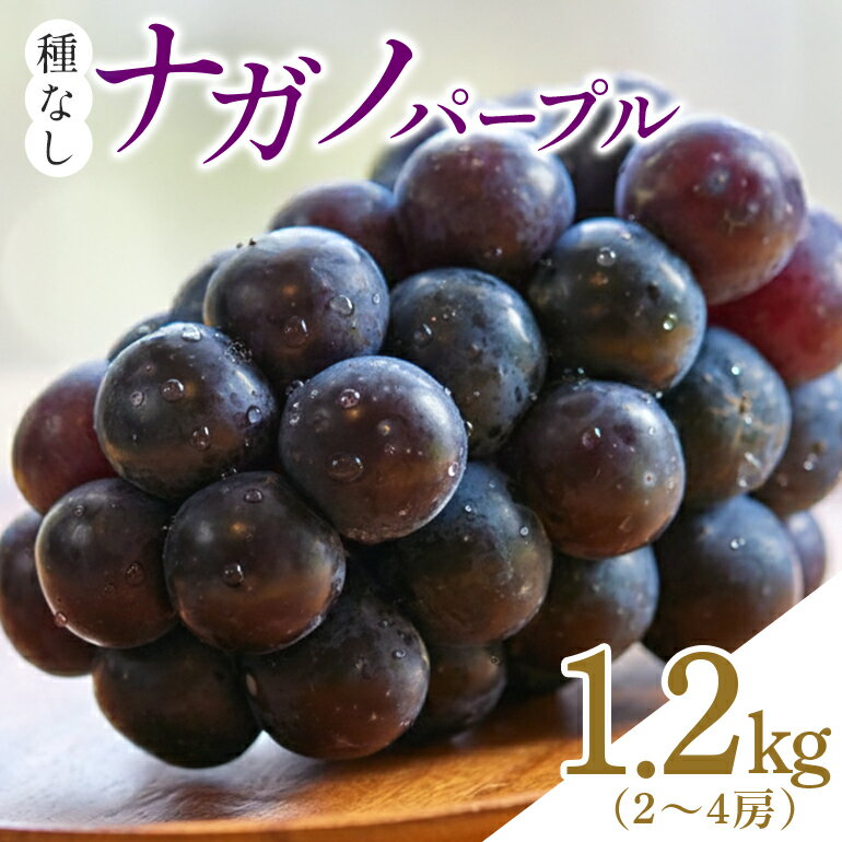 【ふるさと納税】 【2026年先行予約】ナガノパープル（種なし）1.2kg（2〜4房） 葡萄 ブドウ フルーツ 果物 くだもの 産地直送 茨城県 石岡市 A02-022