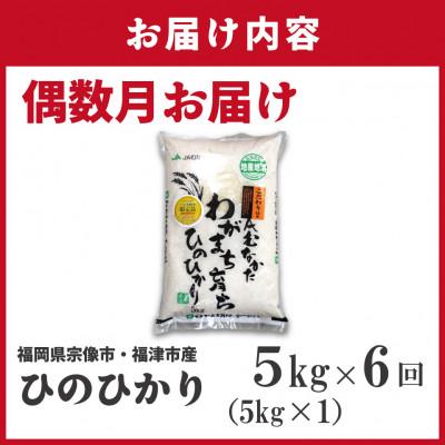 ふるさと納税 福津市 【定期便全6回】JAよりお届け、R8年2月〜発送開始「ひのひかり」5kg×6回[G5082a] |  | 01