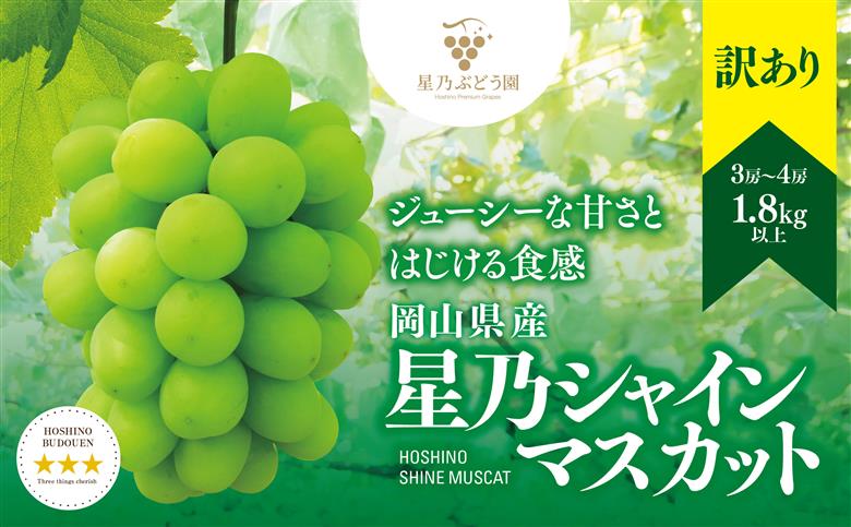 訳あり星乃シャインマスカット(岡山県産) 3～4房(1.8kg以上)【配送不可地域：離島・北海道・沖縄県】