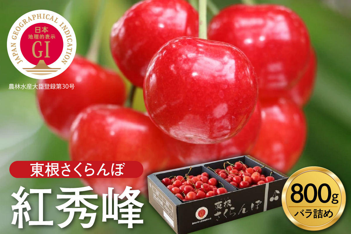 【2027年産】GI東根さくらんぼ「紅秀峰」800g バラ詰め 山形県 東根市 hi001-040-r9