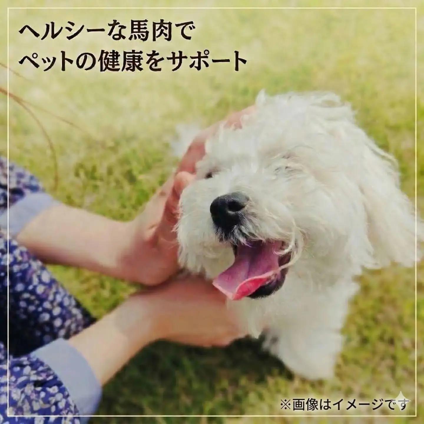 ペットフード　【馬肉切落し】　冷凍・真空包装(250ｇ×2パック)