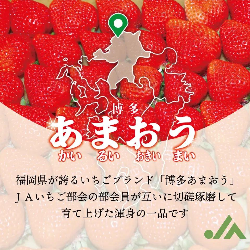 【3回定期便】【2027年2月上旬~4月下旬配送】博多あまおう 250g~270g×4パック[M870-1]