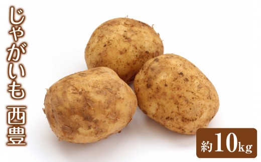 
                  ＜先行予約受付中！12月中旬～2月中旬発送予定＞じゃがいも 西豊(約10kg) | じゃがいも ジャガイモ ばれいしょ 西豊 野菜 国産野菜 産地直送 大容量 まとめ買い  ポテト フライドポテト コロッケ マッシュポテト 料理  食材 お取り寄せ グルメ 人気 おすすめ 鳥取県 境港市
                