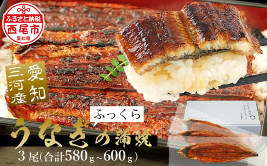 三河産うなぎ 蒲焼冷凍＜超特大＞3尾（合計580ｇ～600ｇ）「生産者愛知養魚」がお届け うなぎ 蒲焼き 鰻 ウナギ 国産うなぎ 愛知県 西尾市 大きいうなぎ 丑の日 土用の丑の日 A091-25