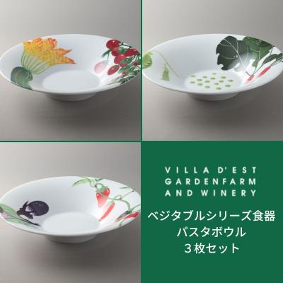 ふるさと納税 東御市 【ヴィラデストワイナリー】ベジタブルシリーズ食器　パスタボウル3枚セット