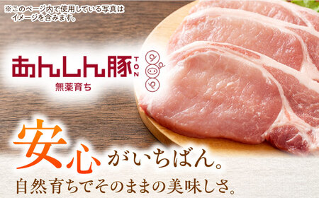 【3回定期便】豚丼セット 豚肉 肩ロース 国産 白川町 / 藤井ファーム[AWAF013]