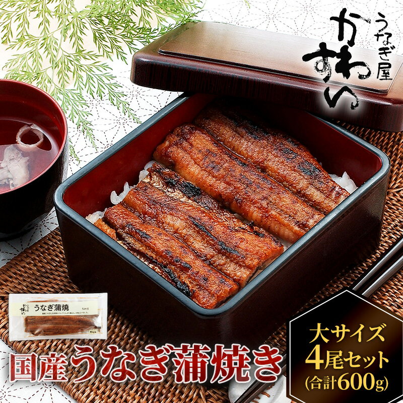 【ふるさと納税】国産うなぎ 蒲焼き 大サイズ 4～6尾セット(合計600g) タレ付き 国産 うなぎ ウナギ 鰻 蒲焼 かば焼き セット 惣菜 冷凍 土用