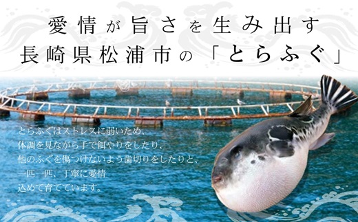 漁協直送！長崎県産最高級とらふぐ唐揚げ3P( とらふぐ ふぐ 唐揚げ 手軽 トラフグ フグ 簡単 便利 魚介 海鮮 海産物 唐揚げ 冷凍 からあげ )【B5-094】