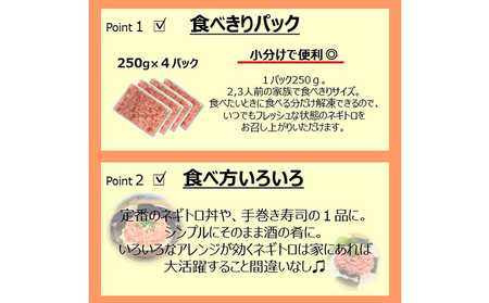 ネギトロ 12回定期便 まぐろの海商のネギトロ 1kg ネギトロ