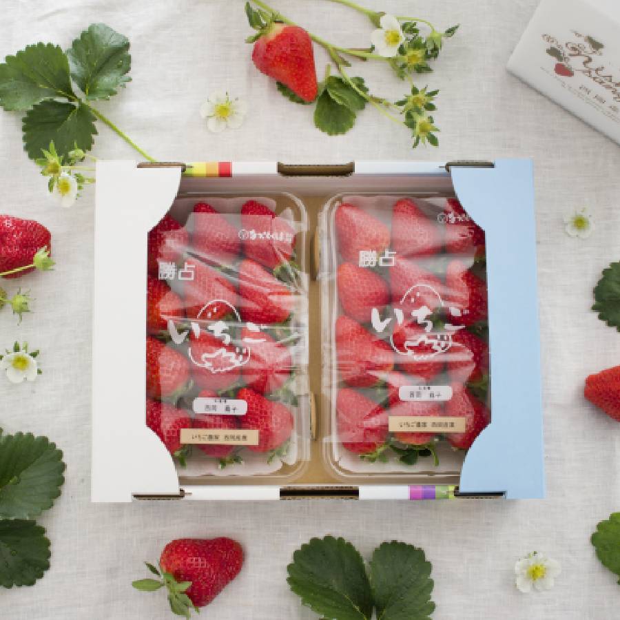 ＜いちご農家西岡農園＞勝占いちご270g×2パック【定期便5回】2026年1月開始