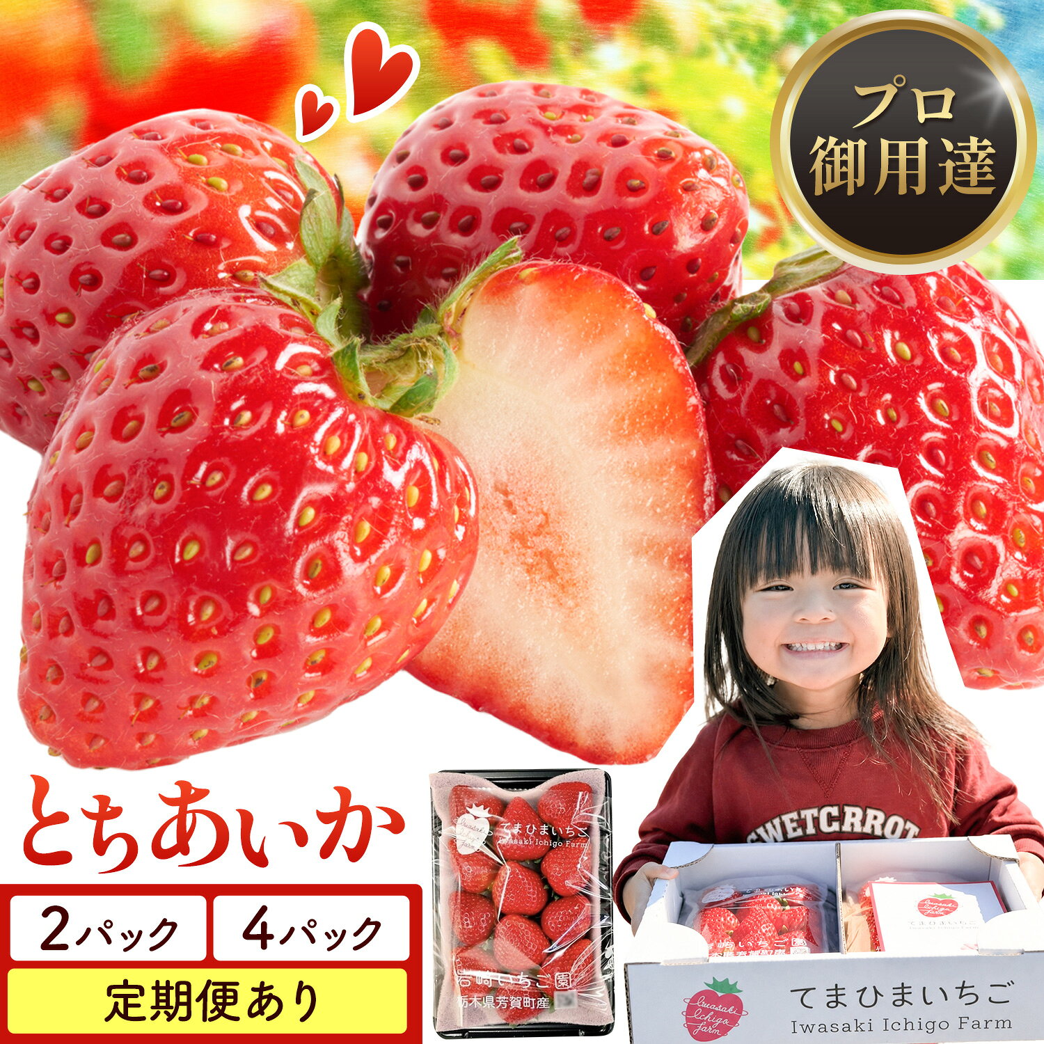 【ふるさと納税】いちご 栃木県芳賀町産いちご とちあいか 2パック 580g または 4パック 1160g 定期便あり 《1月上旬-4月下旬頃出荷》岩崎いちご園 果物 フルーツ 苺 イチゴ 栃木県 芳賀町 【配送不可地域あり】(沖縄・離島)