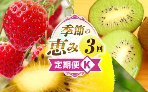 季節の恵み3回定期便K_mk165-t042