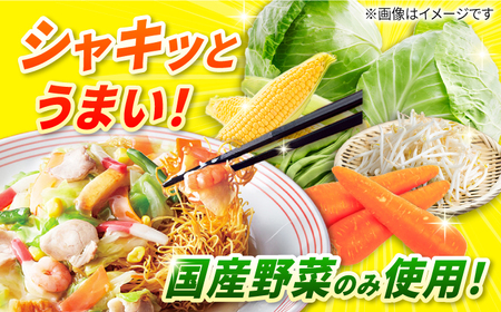 7日発送) 長崎 皿うどん 6食 長与町/リンガーハット  [EBQ002] 麺