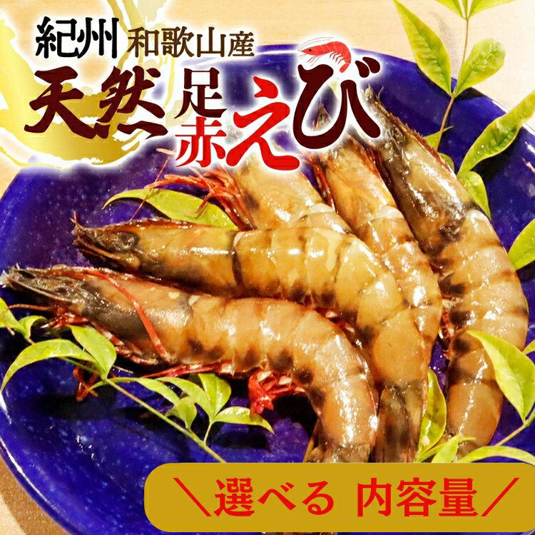 【ふるさと納税】紀州和歌山産天然足赤えび 選べる内容量 化粧箱入 ※2025年11月末頃〜2026年1月下旬頃に順次発送予定