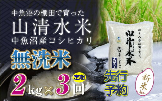 【ふるさと納税】【定期便／全3回】無洗米2kg 新潟県魚沼産コシヒカリ「山清水米」 　お届け：寄附入金確認後、順次発送します。