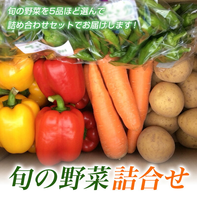 【ふるさと納税】旬の野菜詰合せ【障がい者支援】 fz19-523