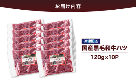 2632 国産黒毛和牛ハツ 1.2kg KN101-007 国産 鹿屋市県産 牛 牛肉 ハツ ホルモン 焼肉 黒毛和牛 冷凍 小分け カミチク ふるさと納税 鹿児島 鹿屋市 おすすめ ランキング プレ