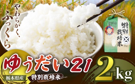 【定期便3回】栃木県矢板市産 ゆうだい21 2kg 特別栽培米 【先行予約】新米  |  栃木県 矢板市