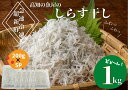 【ふるさと納税】★カネアリ水産★ ふわっふわ！土佐のしらす干し 1kg（約200g×5パック） 高知県 田野町 しらす しらす干し じゃこ ちりめんじゃこ ちりめん 干し 魚介 魚介類 栄養 栄養満点 離乳食 土佐 海鮮 魚屋 さかな 新鮮 食品 冷凍 送料無料 故郷納税 返礼品 10000円