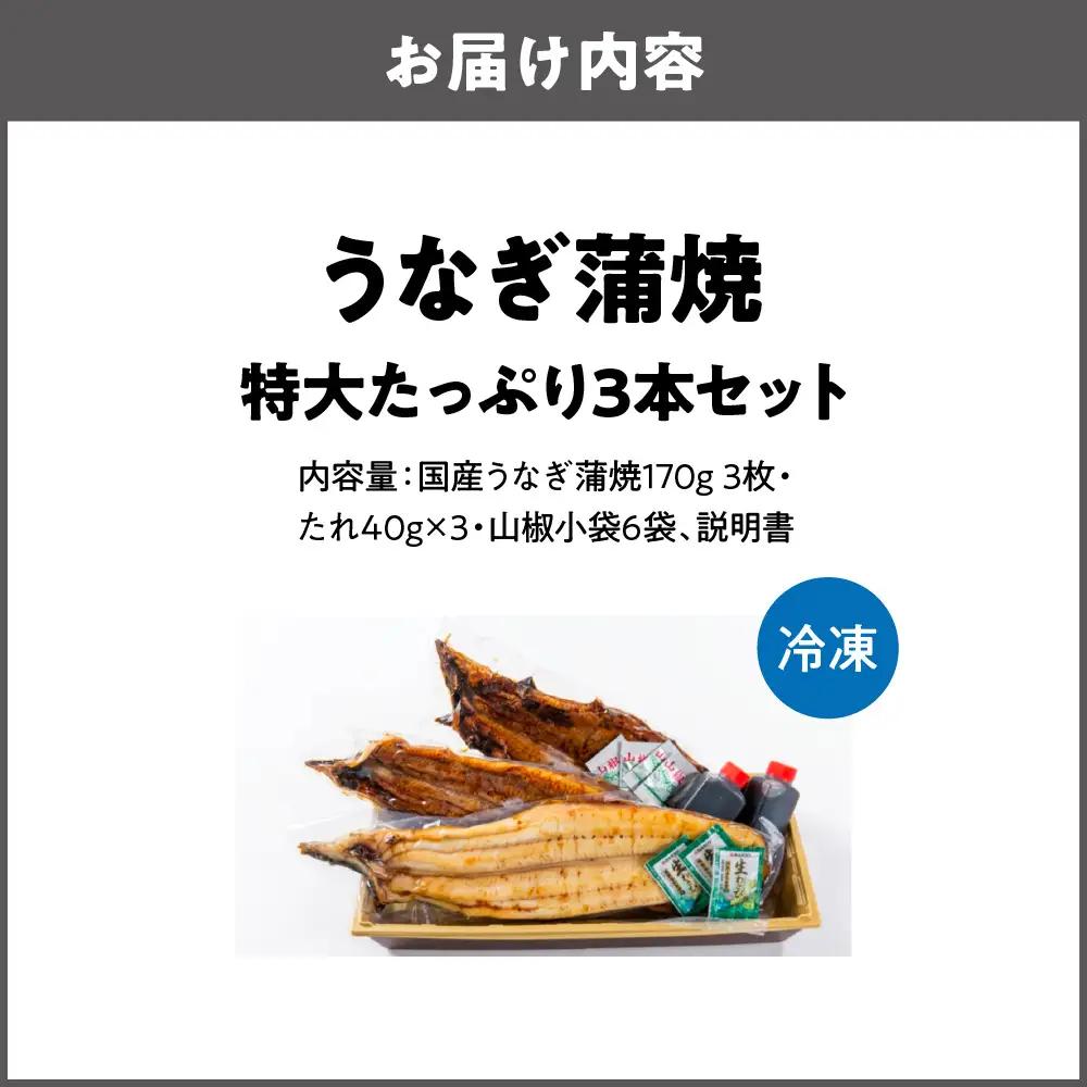 【商店街逸品】矢作川うなぎ蒲焼 『蒲焼』『白焼き』特大3本セット_OS389-0006-02