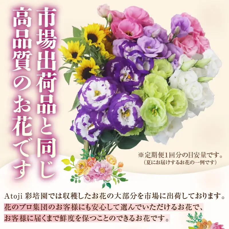【定期便4回】花農家直送 新鮮な切花【春 夏 秋 冬】 / 生花 お花 旬の花束 豊かな生活 花のある生活 15本程度 2種 季節 年4回お届け [aw099-d001]