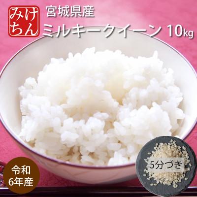 ふるさと納税 村田町 令和6年産　宮城県産ミルキークイーン10kg　5分づき