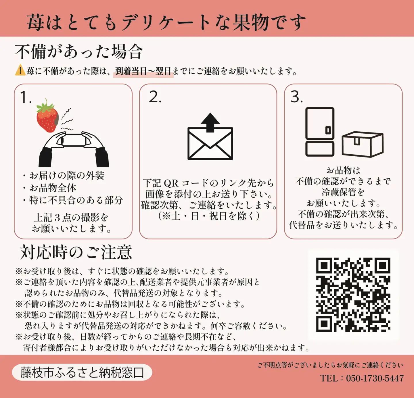 2027年3月〜5月発送予定 いちご きらぴ香 約1kg いちご