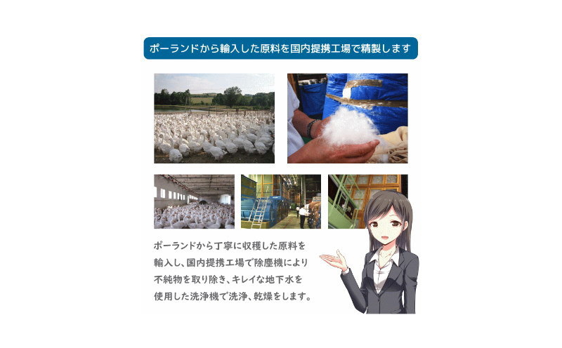 【プレミアムゴールド】コウダ種ポーランドマザーグース2枚合わせ羽毛ふとん(合い掛け+肌掛け)クィーン オールシーズン【新津】
