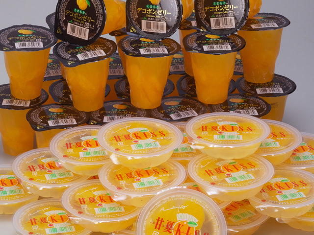 B30-34 くまもとのデコポンゼリー、甘夏KISS(100ｇ)セット（48個）