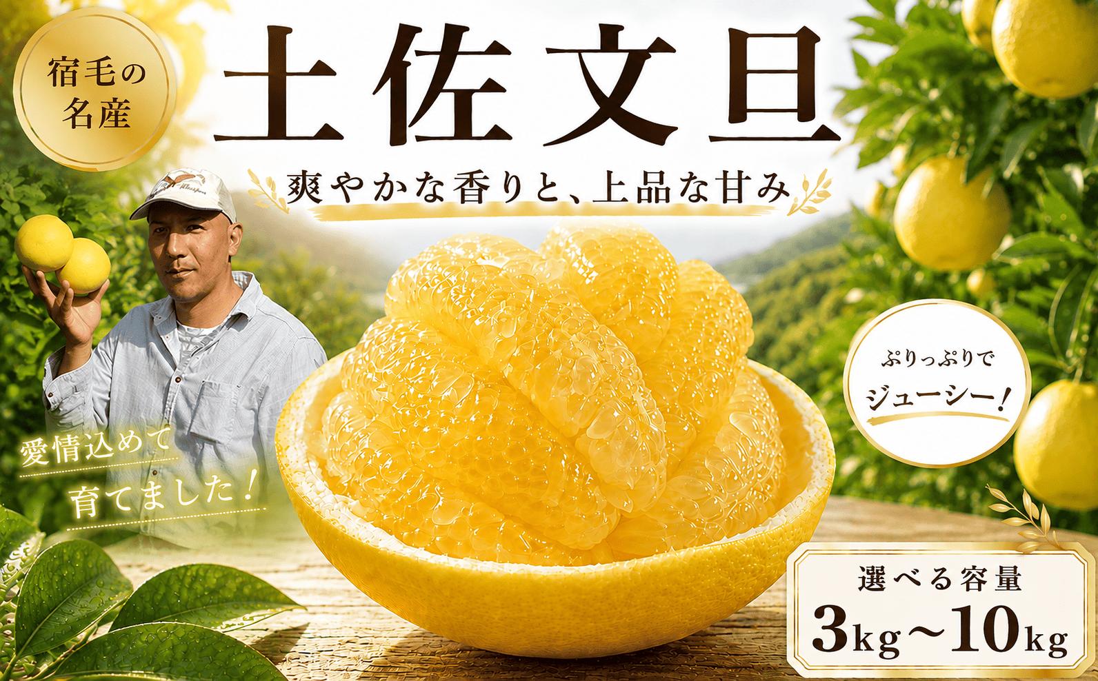 
                  文旦 選べる 容量 4L 3L 2L L 大玉 家庭用 贈答用 土佐文旦  柑橘 みかん 果物 リピーター 国産 先行 数量限定 先行受付 柑橘類 フルーツ スイーツ  贈答 ギフト 贈り物 御歳暮 旬 産地直送 贈物 お取り寄せ 名産 厳選 吉村農園 宿毛市 宿毛 高知県
                