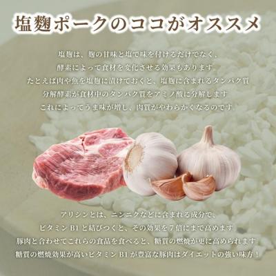 ふるさと納税 名古屋市 ガーリックの効いた塩麹ポーク　500g |  | 02