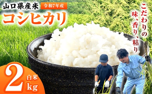 令和7年産 山口県産米 コシヒカリ 2kg ｜ 令和7年産 コシヒカリ 山口県産米 こめ お米 コメ 白米 山口県 平生町