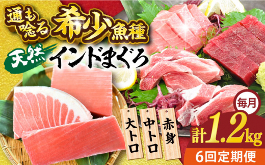 【全6回定期便】天然 まぐろ 大トロ・中トロ・赤身（約200ｇ×6柵）約1200ｇ 鮪 マグロ 魚 刺身 横須賀【横須賀商工会議所 おもてなしギフト事務局（本まぐろ直売所）】 [AKAK084]