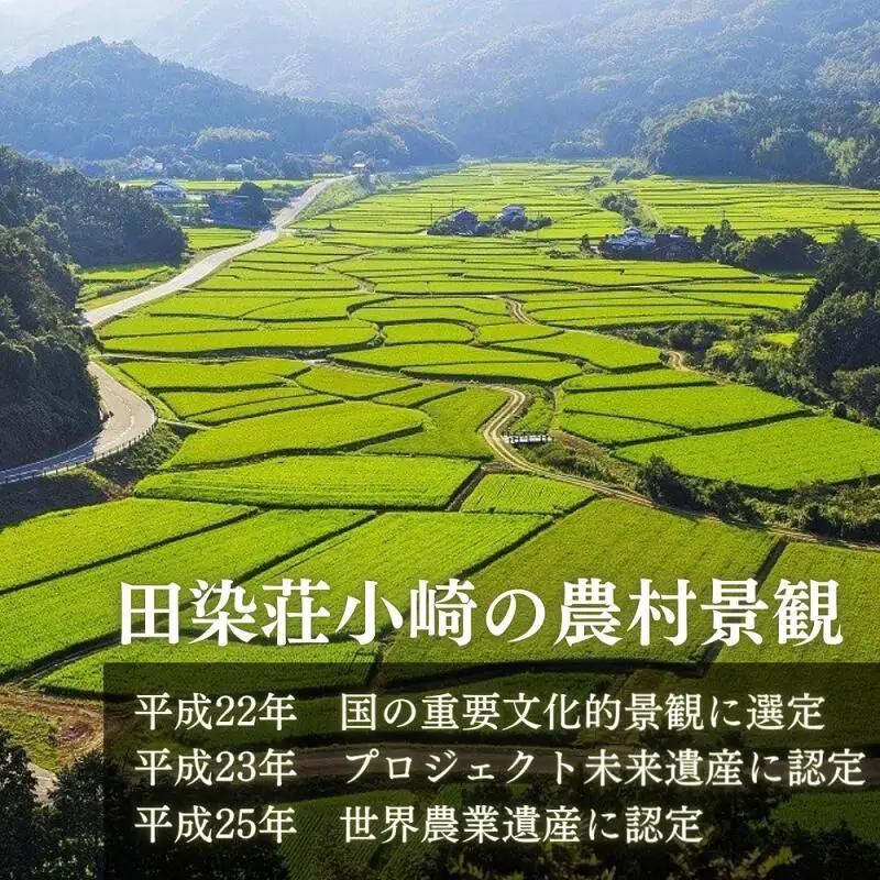 ヒノヒカリ 荘園米 5kg （精米済）ひのひかり
